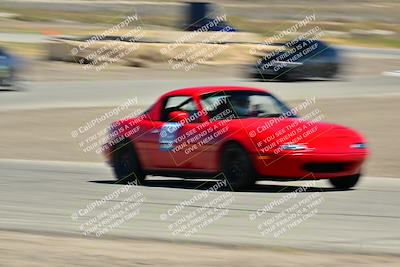 media/May-24-2025-Turn8 Trackdays (Sat) [[034586b55d]]/5 Inter 1/Session 2 (Cotton Corners-Grapevine)/